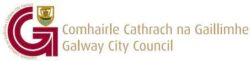 Galway city council2